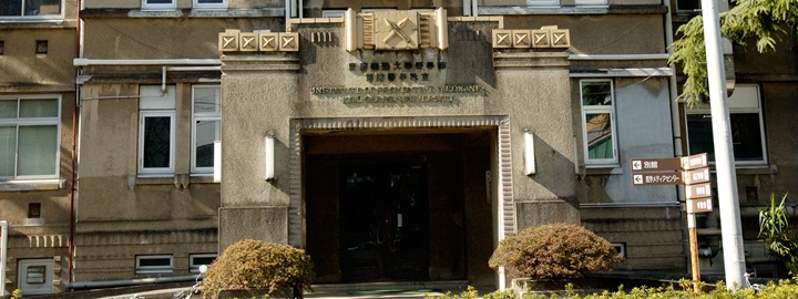 image13.jpg
